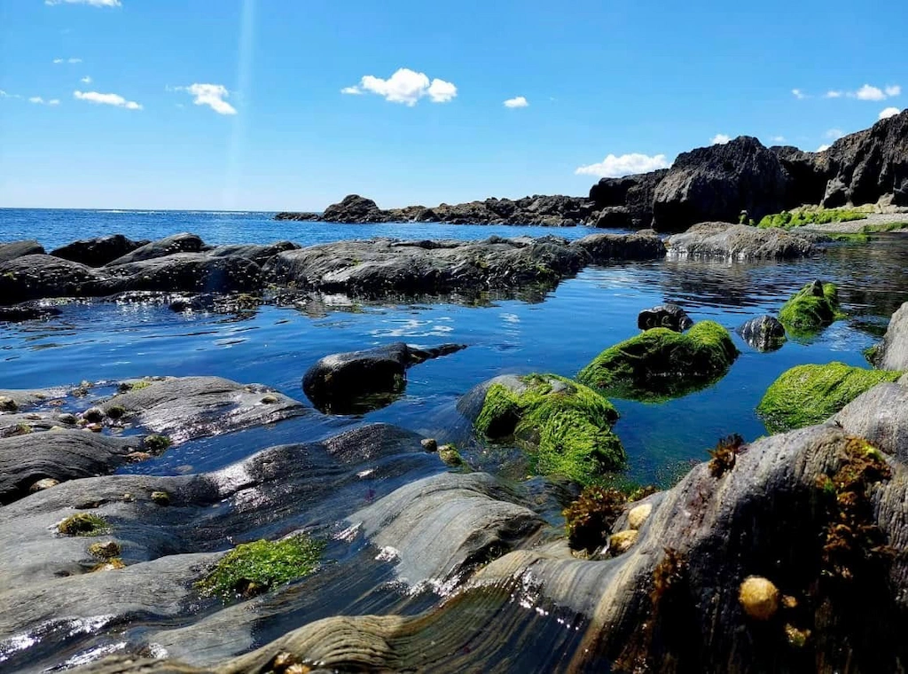 Sextons Campsite Beach